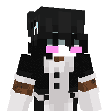 NZME_ Minecraft skin